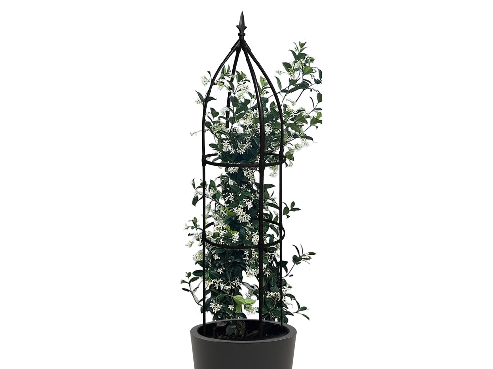 1.8M Garden Obelisks Climbing Vine Plant Flowers Rack