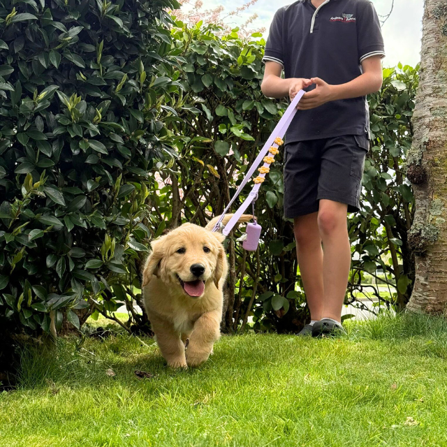 Waterproof Customisable Dog Lead | Lilac