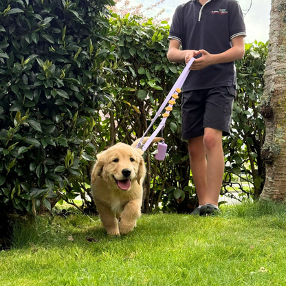 Waterproof Customisable Dog Lead | Lilac