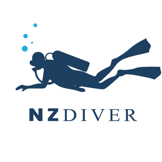 Ball Sinker 6.0oz - 2pc