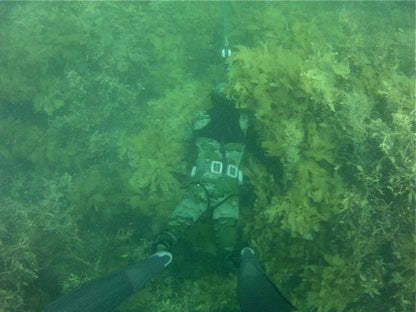 5mm Camo Wetsuit  - Rob Allen Scorpia