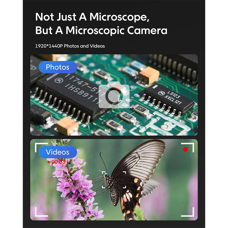 microscope with stand