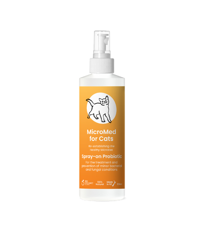 MicroMed for Cats Acute Care