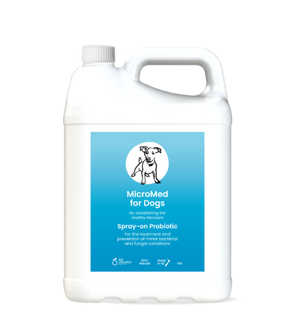MicroMed for Dogs Acute Care