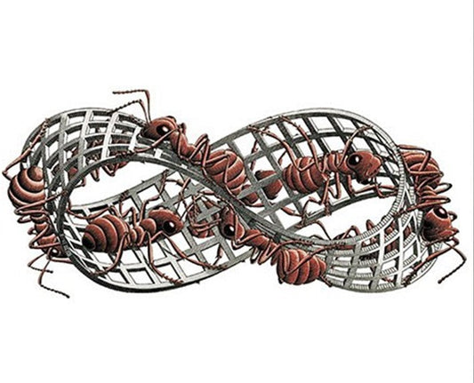 Poster - Moebius Strip II