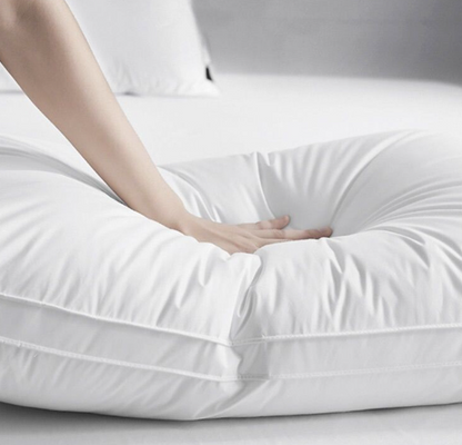 2 Pack Pillows for Sleeping Soft and Supportive Pillow with Cotton cover