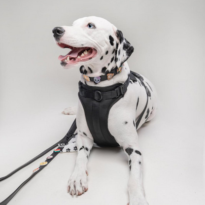 Dog Harness | Black