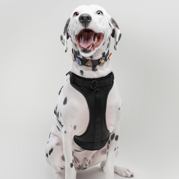 Dog Harness | Black