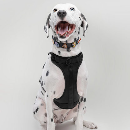 Dog Harness | Black