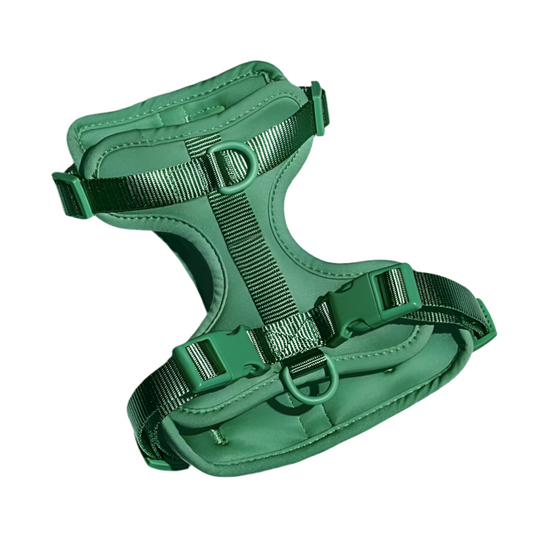 Dog Harness | Green