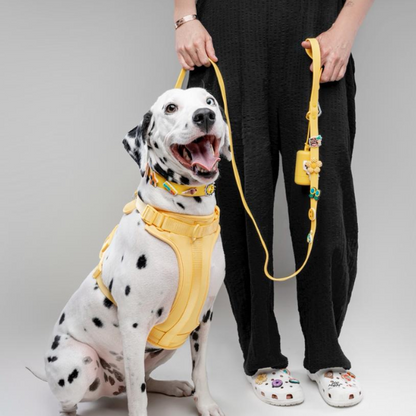 Waterproof Customisable Dog Lead | Yellow
