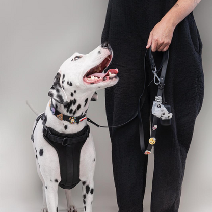 Dog Harness | Black