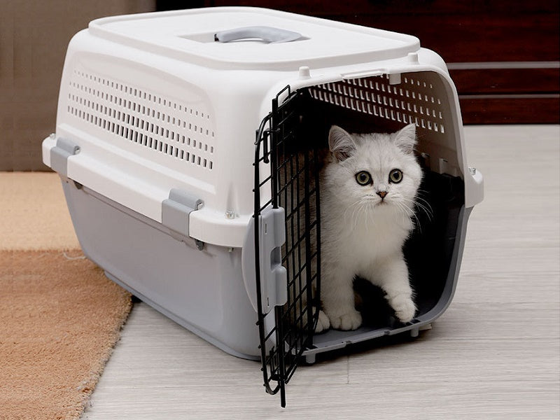 PP 30 Airline Approved Pet Carrier AIR NZ TRAVEL CAGE 58cm With Bowl
