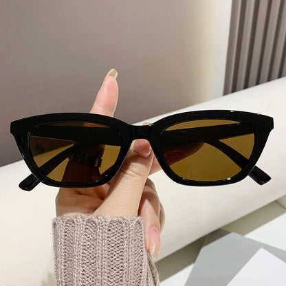 ECOTREK Cat Eye Sunglasses – Retro Fashion Small Frame Shades for Men & Women LX09