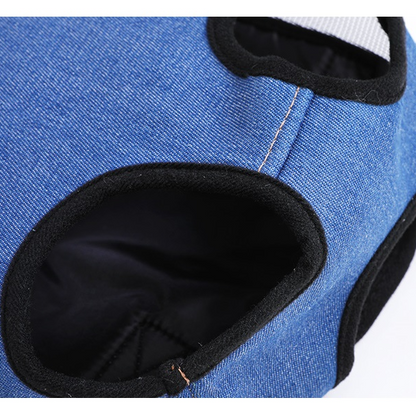 Pet/Puppy Travel Carry Bag, Blue, Medium