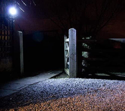 Daylight LED flood light
