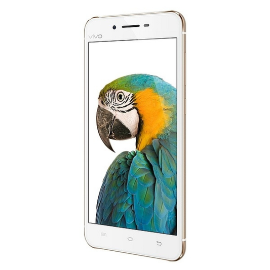 Hydrogel Screen Protector for Vivo X6 (Pack of 2)