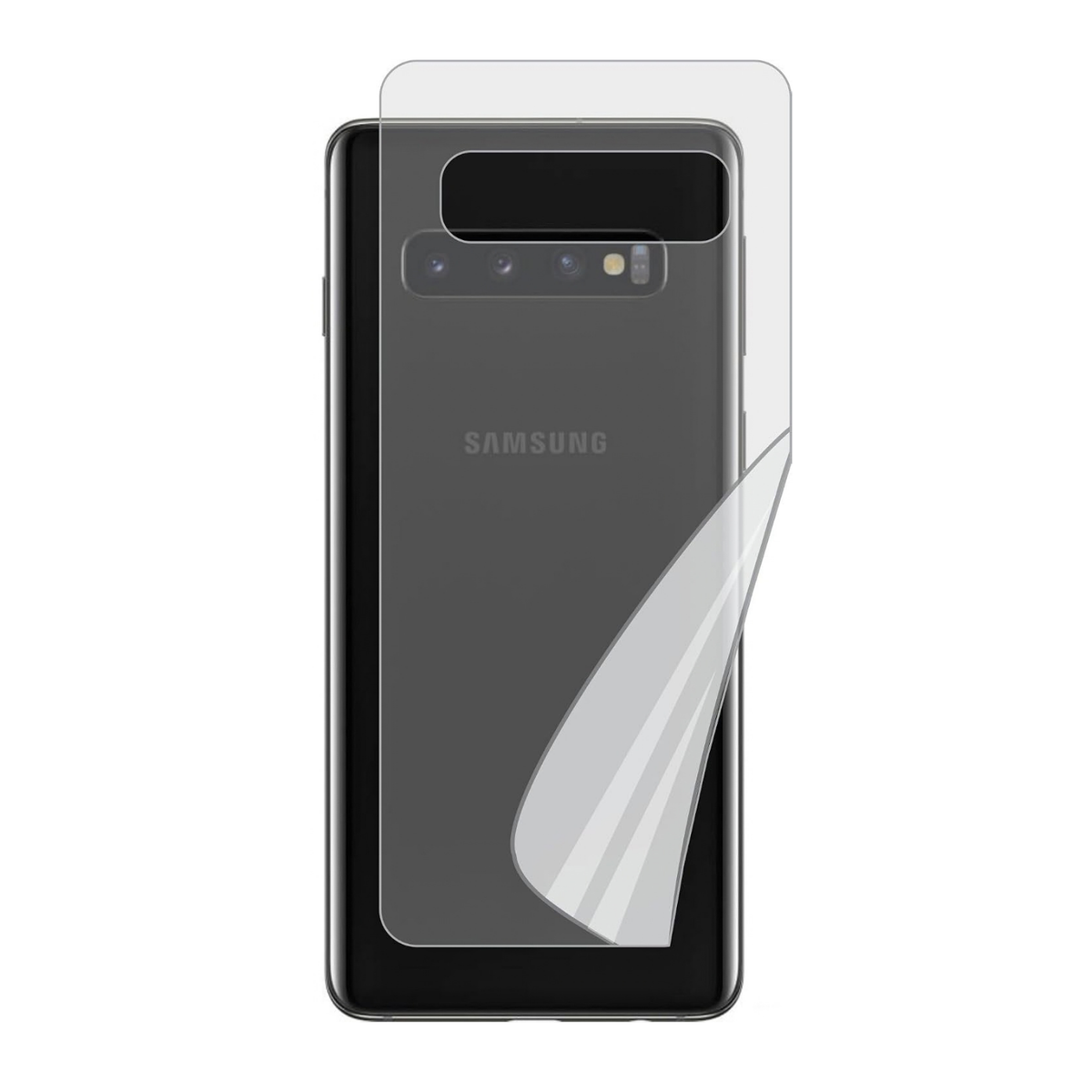 Back Hydrogel Protector for Samsung Galaxy S10 (Pack of 2)