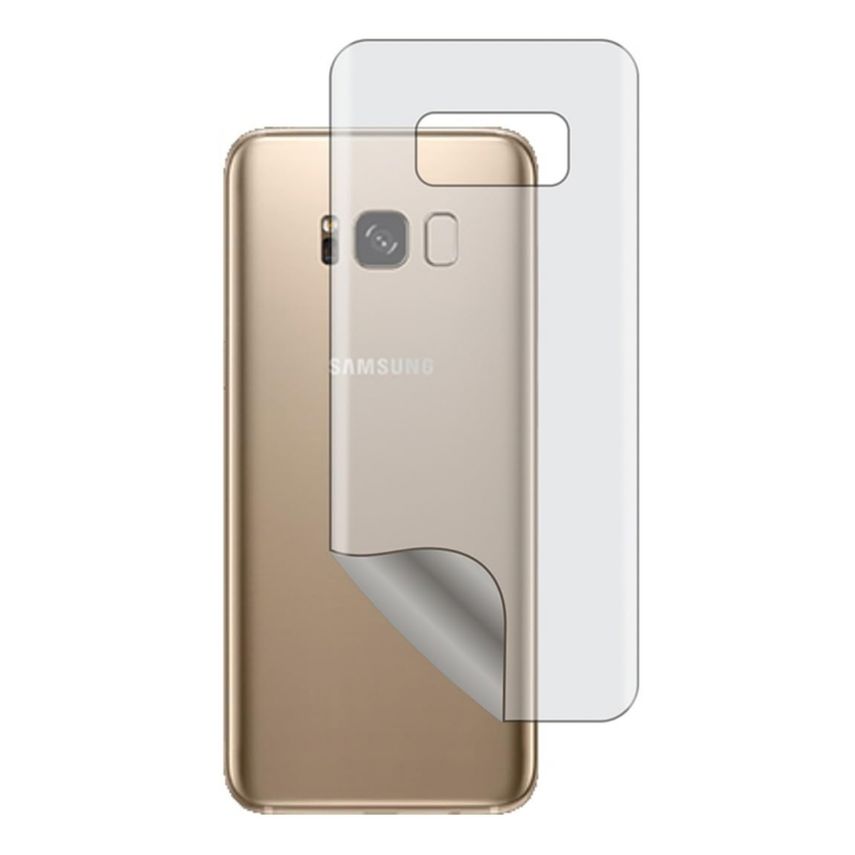 Back Hydrogel Protector for Samsung Galaxy S8 (Pack of 2)