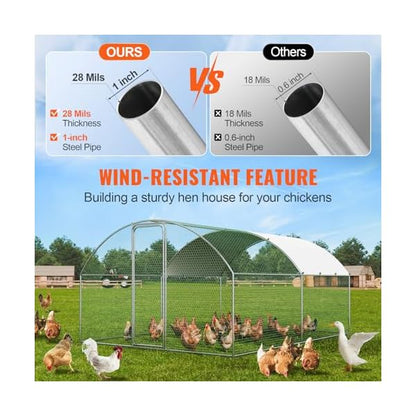 Outdoor Chicken Coop