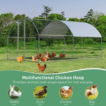 Outdoor Chicken Coop