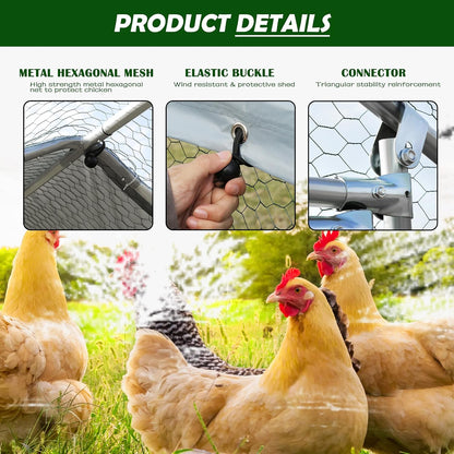 Outdoor Chicken Coop