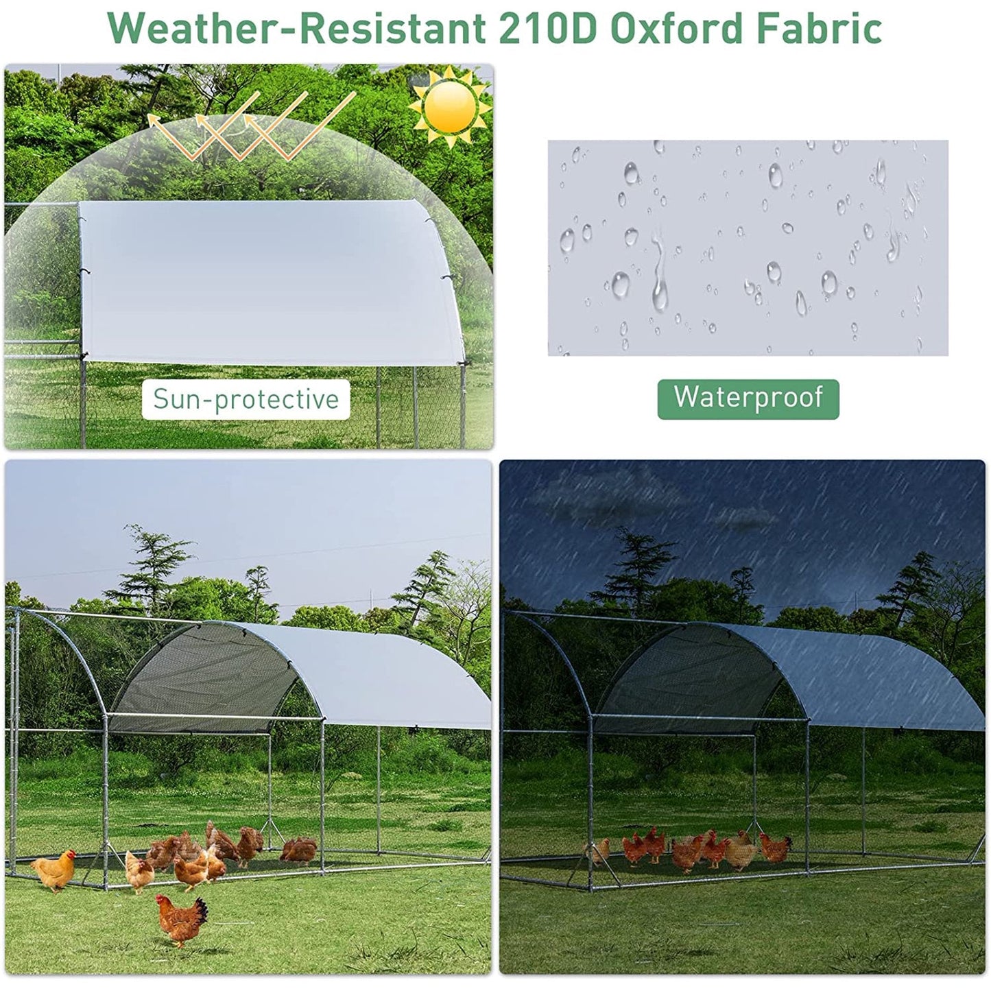 Outdoor Chicken Coop