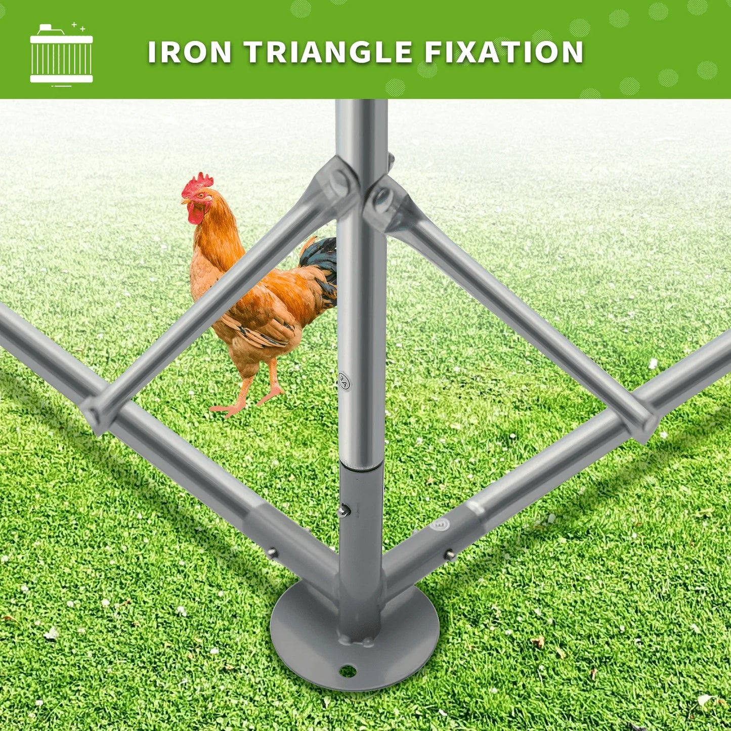 Outdoor Chicken Coop