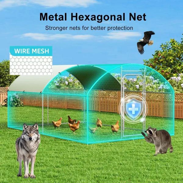 Outdoor Chicken Coop