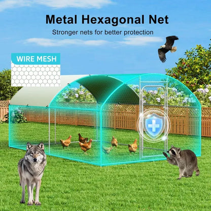 Outdoor Chicken Coop