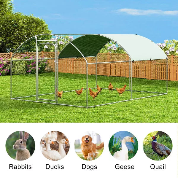 Outdoor Chicken Coop