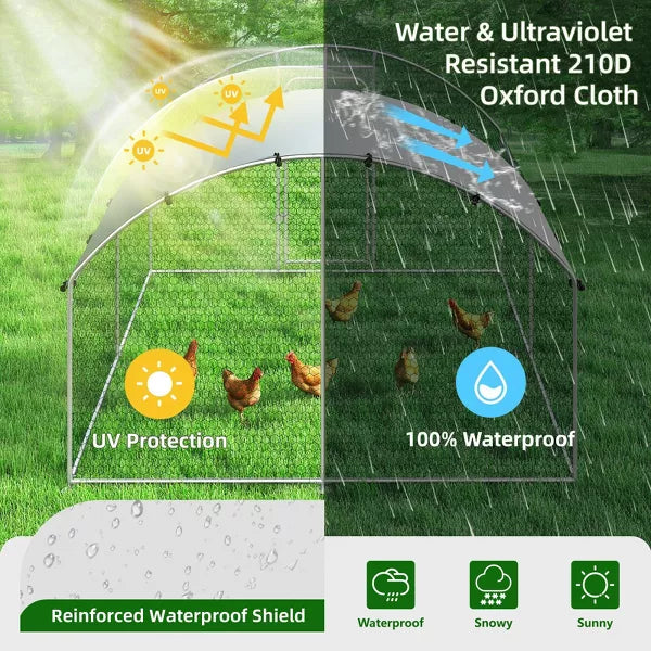 Outdoor Chicken Coop