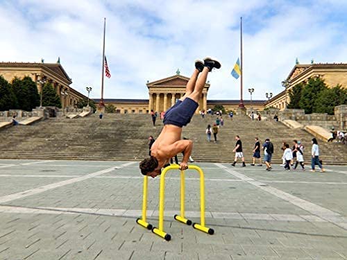 Stable dip bars with yellow and black color