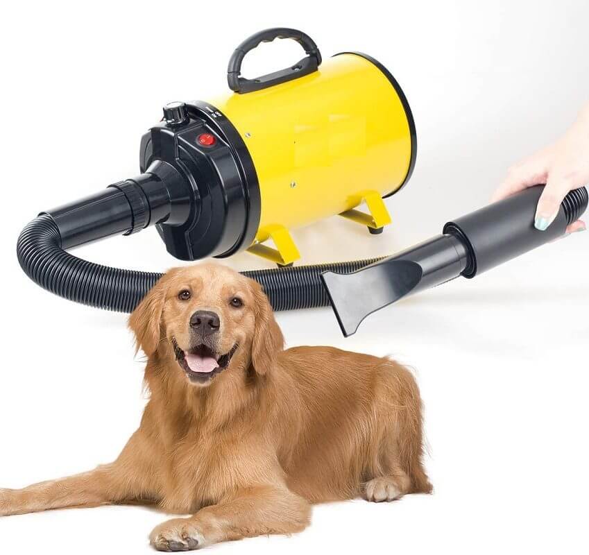 Dog Cat Pet Dryer Pet Hair Dryer Adjustable Wind Speed - The Shopsite