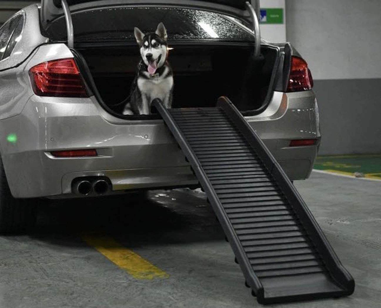 pet ramp for cars
