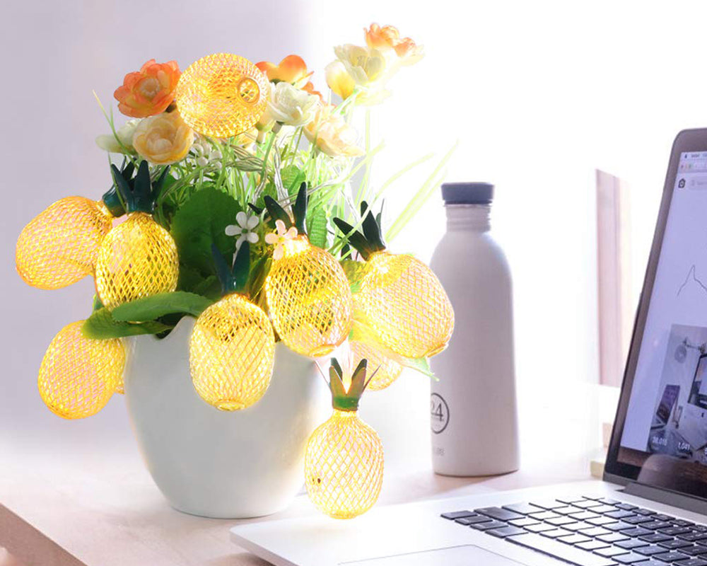 Solar Powered String LED Light Waterproof