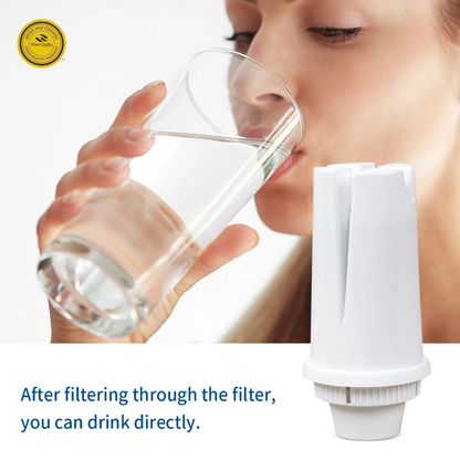 Brita Water Filter Replacements