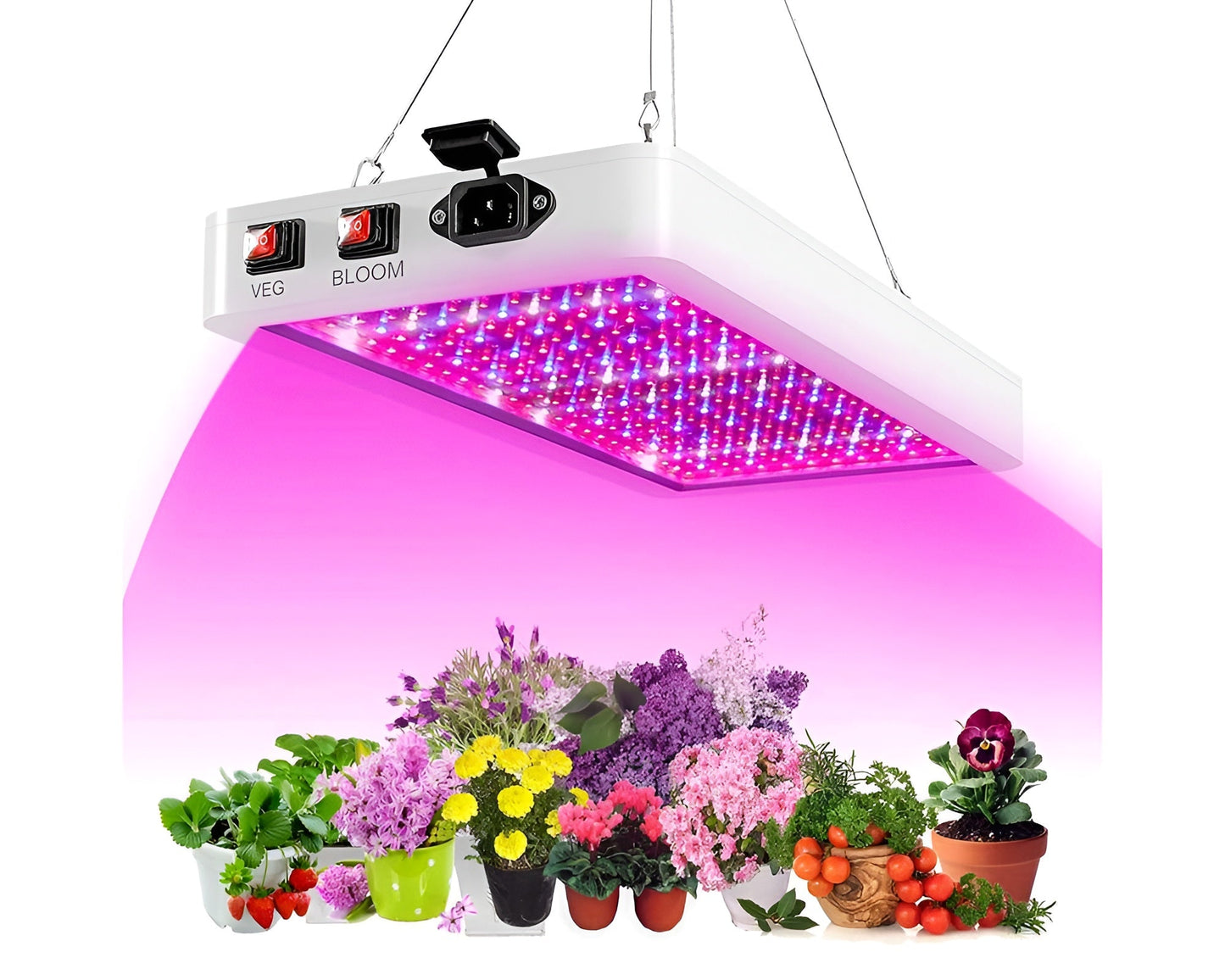 LED Grow Light for Indoor Plants