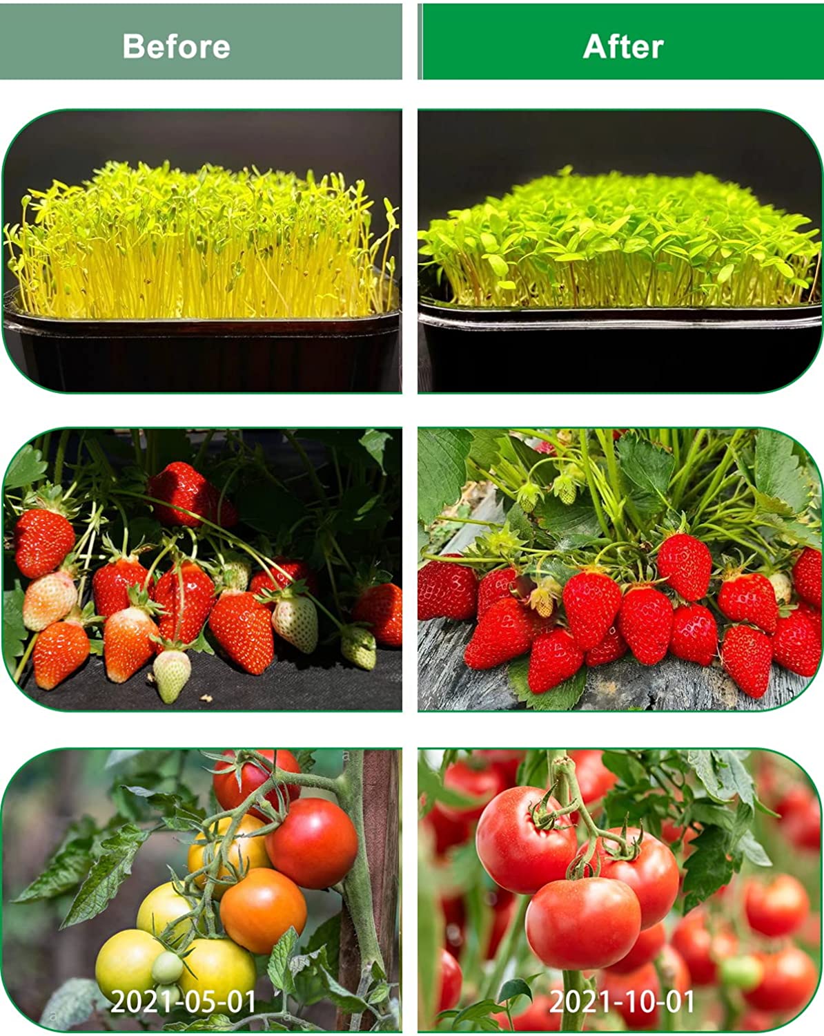 LED Grow Lights UV Indoor Plants