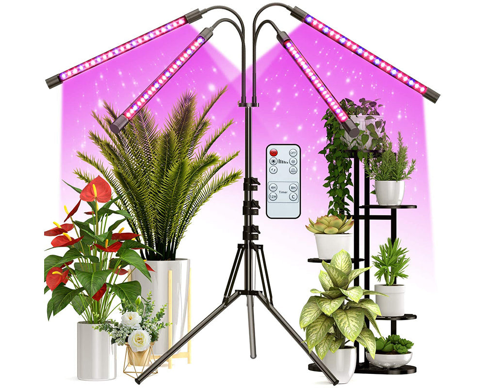 Indoor plant grow light with timer
