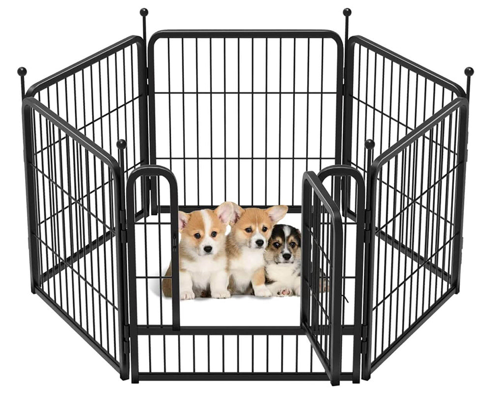 Dog playpen fence outdoor