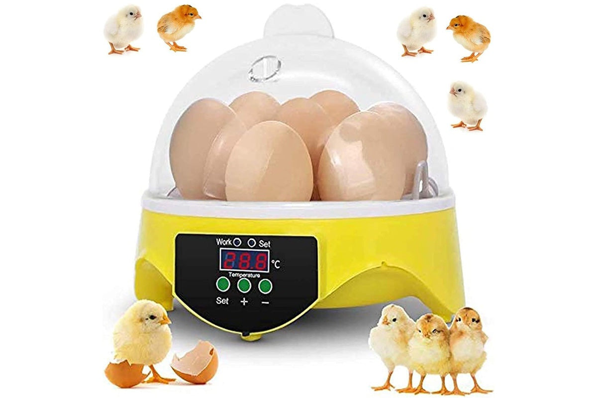 Egg Incubator Hatcher