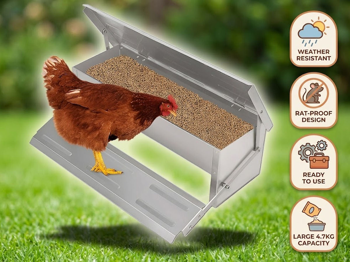 Automatic Chicken Feeder