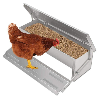 Automatic Chicken Feeder
