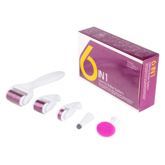 6 in 1 DRS Derma roller