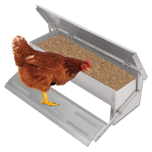 Automatic Chicken Feeder