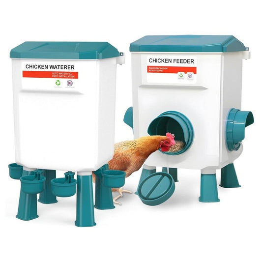 Automatic Chicken Feeder Chicken Drinker