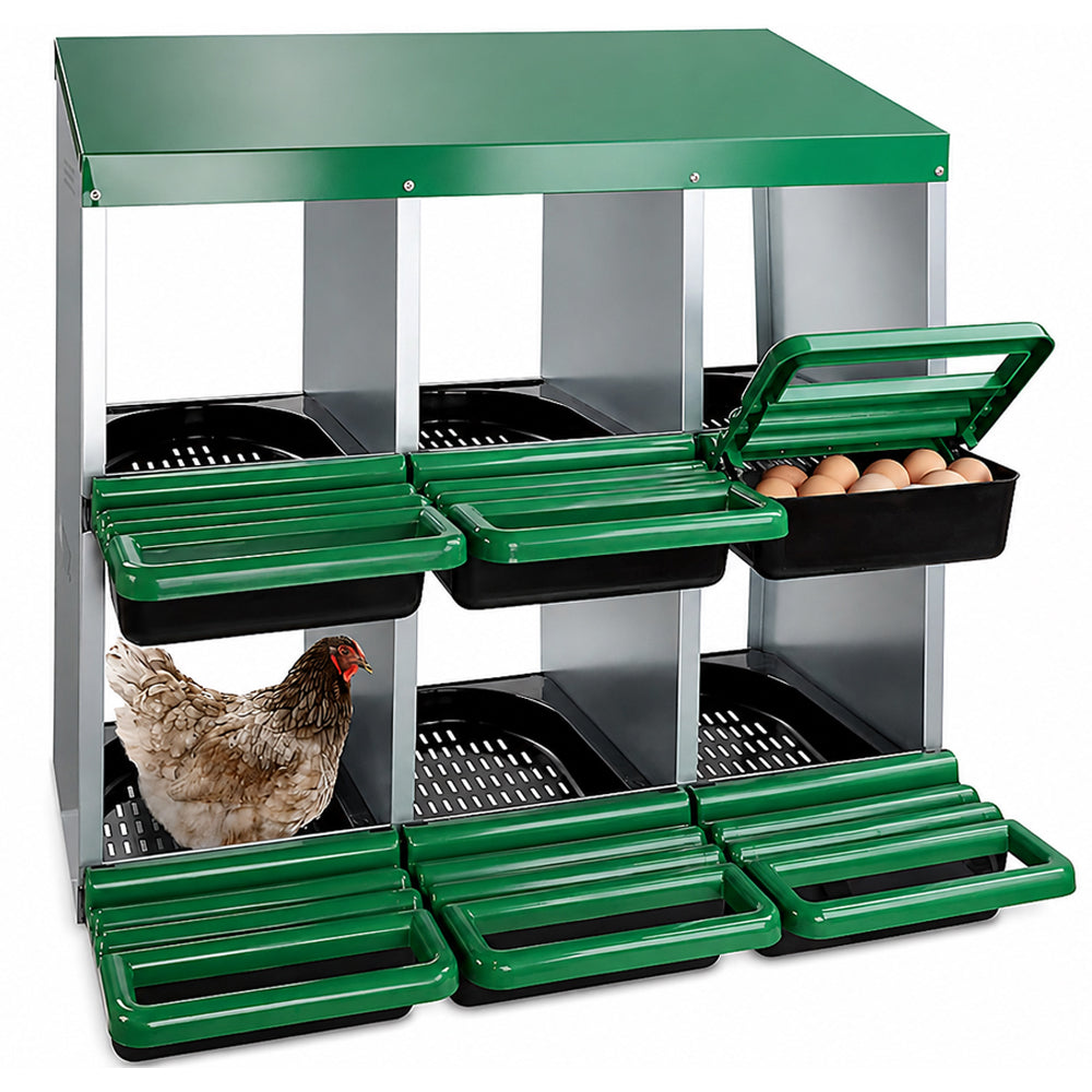 Chicken Nesting Box With 6 nests