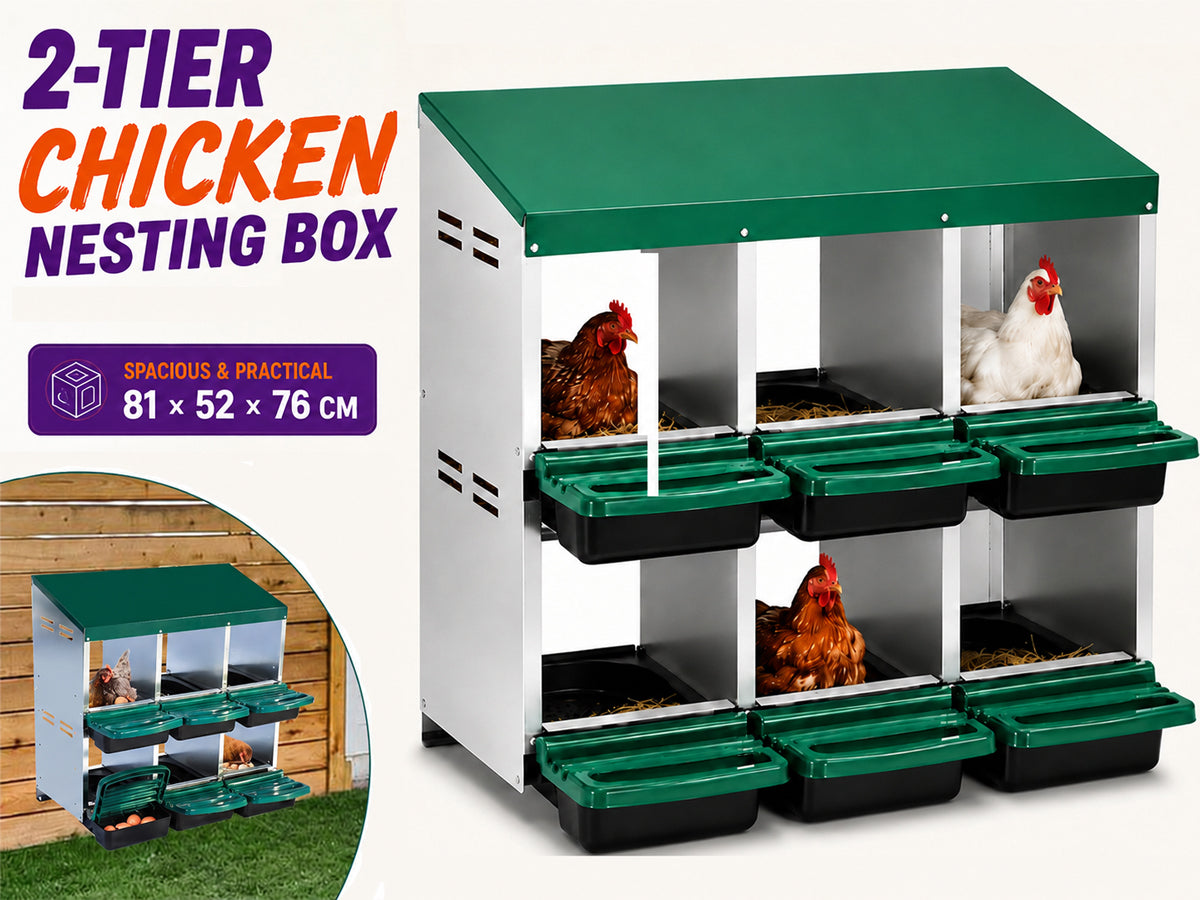 Chicken Nesting Box With 6 nests
