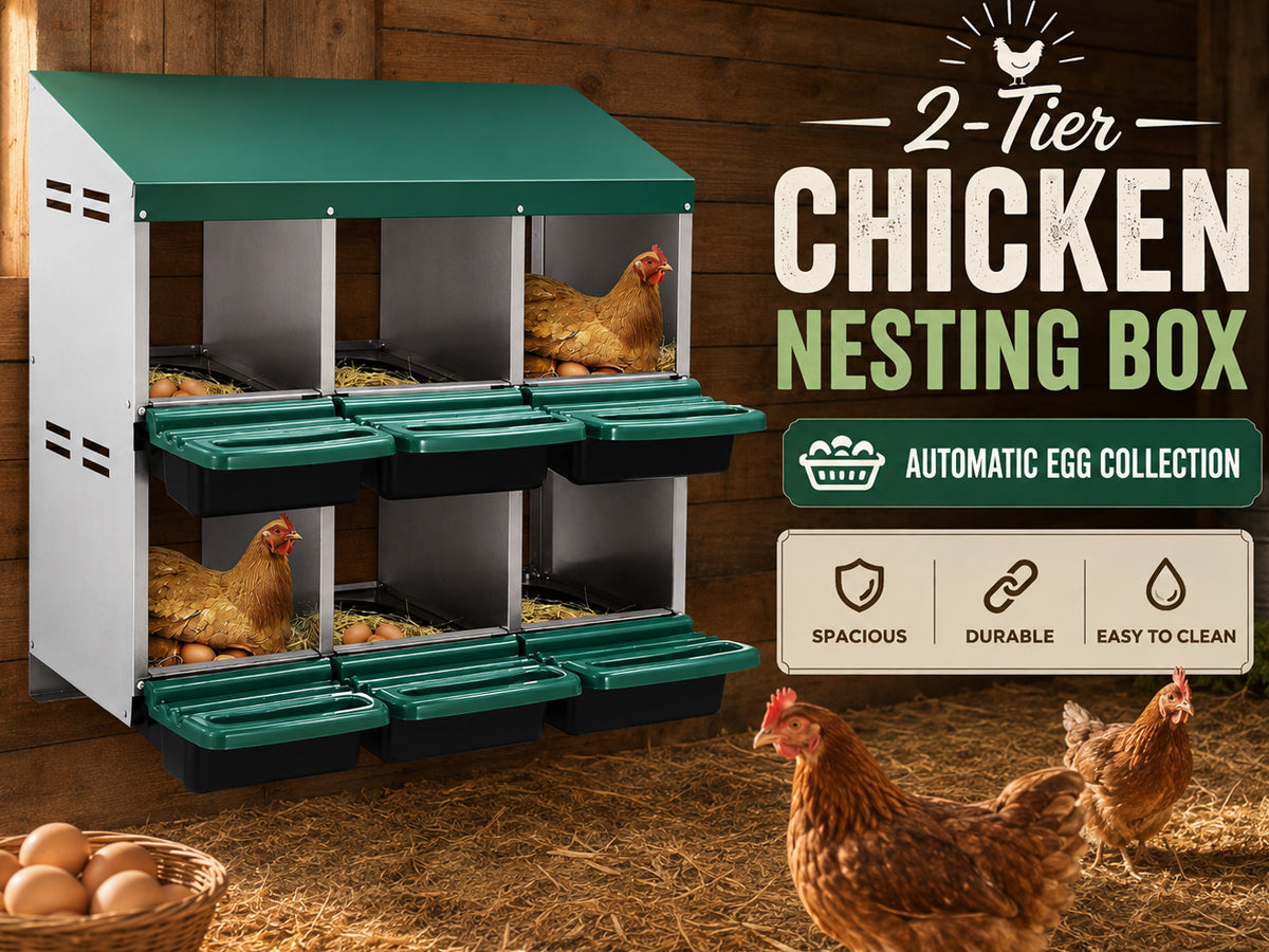 Chicken Nesting Box With 6 nests